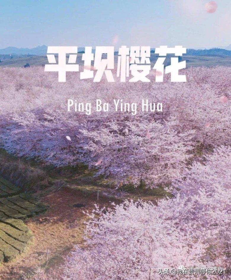 桃城区赵家圈镇冬修水利助增收