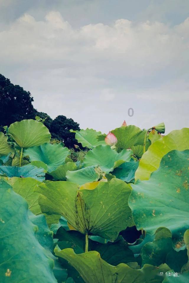 逃离幻想之镜